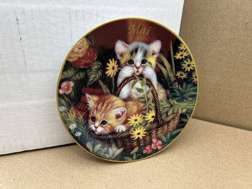 Piatto collezione - piatto,