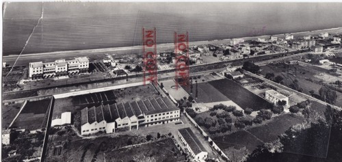 Cart calabria cosenza cetraro - cart,