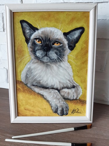 Dipinto olio gatto birmano - dipinto,