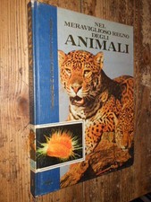 Nel meraviglioso regno degli