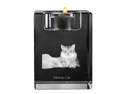 Gatto siberiano portacandele - gatto,