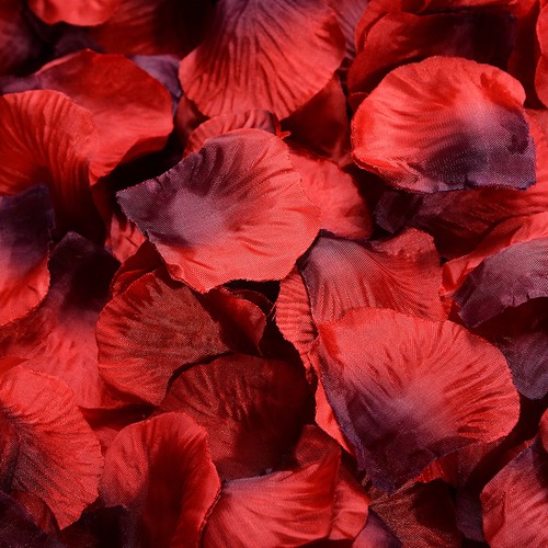 2400 pcs petali rosa - 2400,
