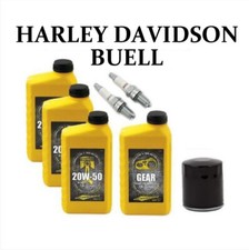 Tagliando buell harley - tagliando, xb