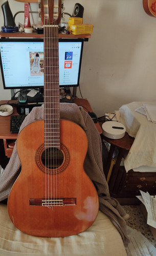 Chitarra classica camps 6 - chitarra,