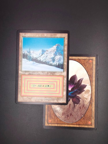 Mtg taiga magic card - mtg,