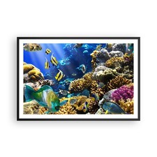 Poster 91x61cm Barriera