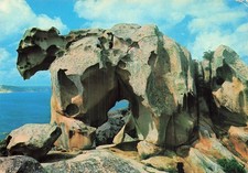 ITALIE CAPO D ORSO CAPO D ORSO