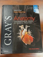 Gray's Anatomy : The