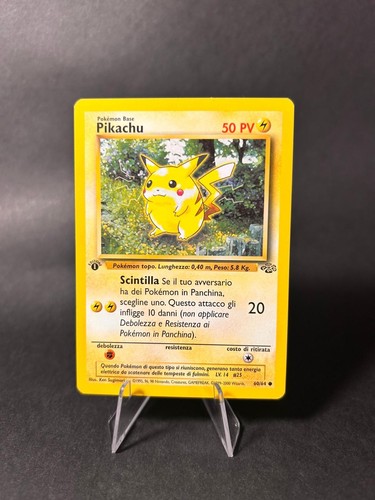 Pikachu jungle 1ª - –,