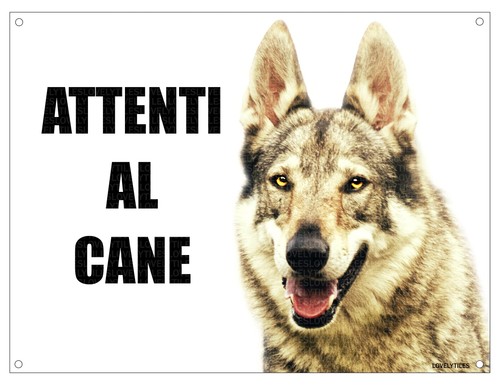 Lupo cecoslovacco attenti - lupo,