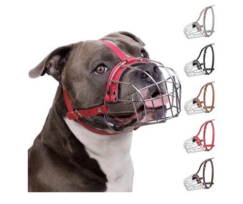 Pitbull museruola per - per, cani