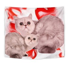 Exotic Shorthair Cat On Red