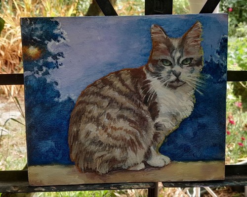 Ritratto gatto con - con, ad