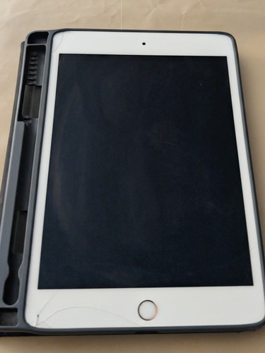 Apple ipad mini 5a - apple,