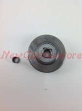 Pignone SHINDAIWA motore