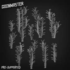 Euphorbia trigona kit - -,