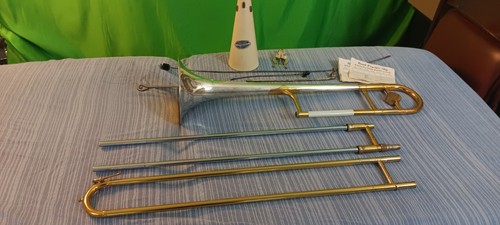 White king silvertone - hn, 2b