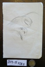 BOZZETTO ORIGINALE DISEGNO