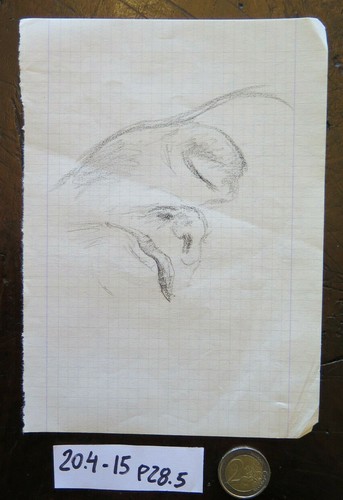Bozzetto originale disegno - bozzetto,