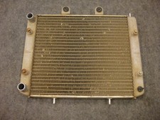 Radiatore/radiatore Polaris