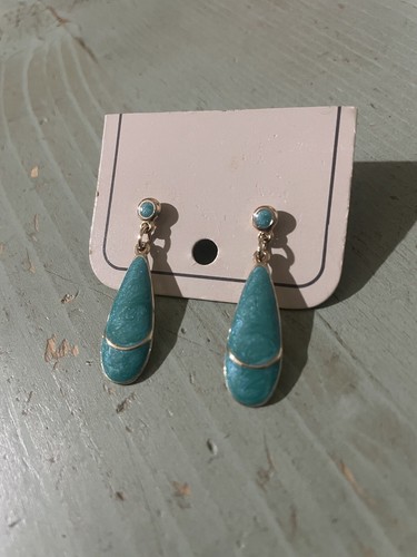 Surgical sterling earrings - surgical,