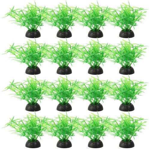 Pcs vasca per pesci piante - ,
