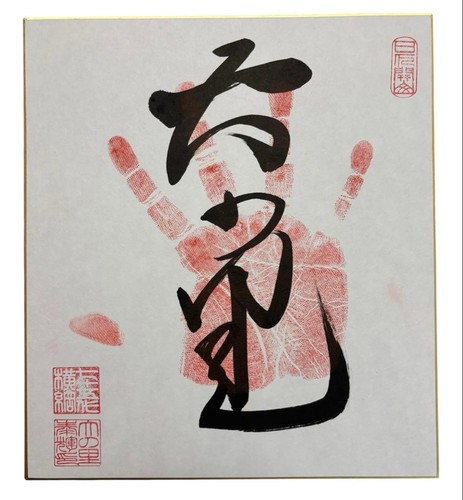 Sumo yokozuna oinosato - sumo,