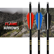 Bulloni arco compositi 31,5"