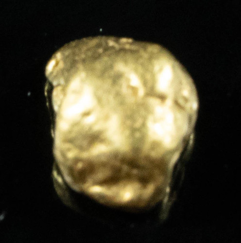 136 alaskan pepita d oro - #136, d'oro