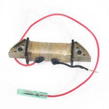 Bobina Statore Alternatore per