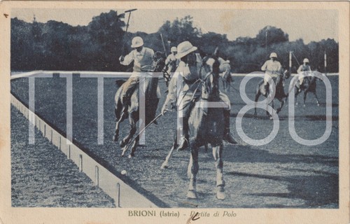 Brioni istria partita di - istria,