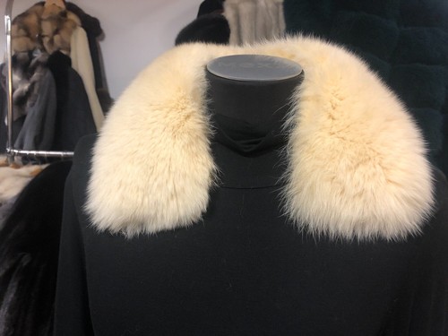 Volpe polare fuchs - polare,