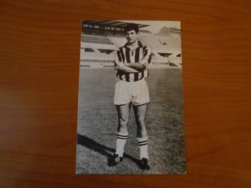 Cartolina favalli juventus - cartolina-favalli-,