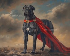 Cane Corso Superhero 8x10
