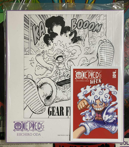 Shikishi one piece - shikishi,
