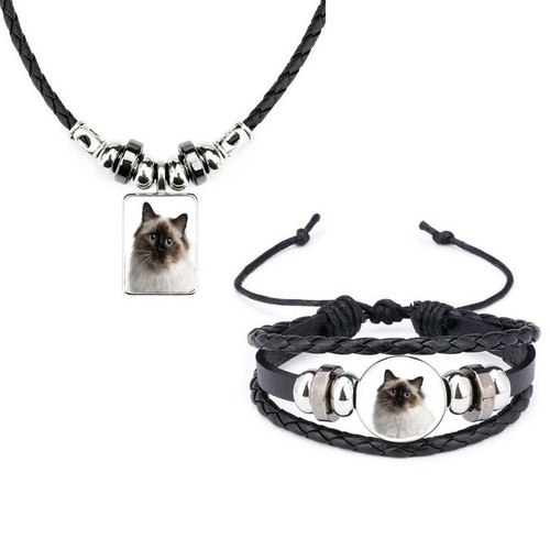 Set birman cat pet - birman,