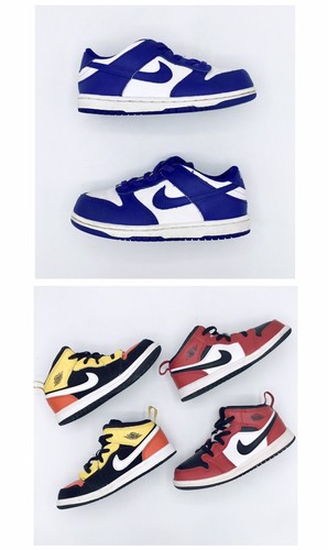 Nike dunk low concord jordan - dunk,
