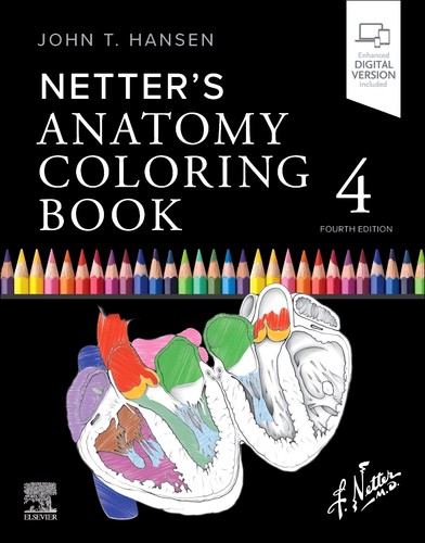 Netter anatomy coloring - anatomy,