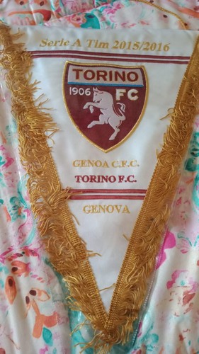 Gagliardetto ricamato - gagliardetto,
