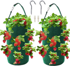 Sacchetto Coltivazione Fragole