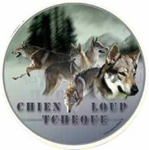 Adesivo motivo chien loup - adesivo,