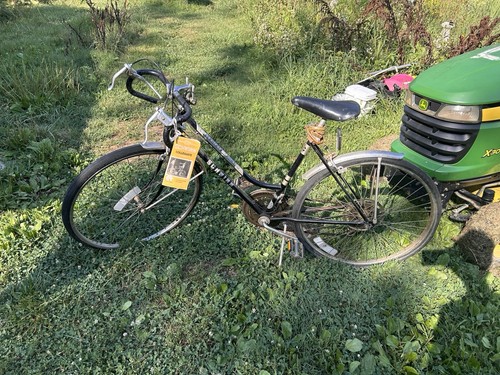 Guarnitura doppia schwinn 1979 - guarnitura,