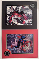 LOTTO: PETER PARKER SPIDER-MAN