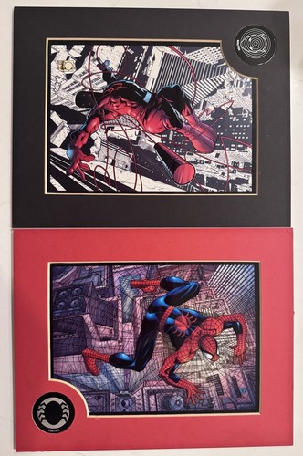 Lotto peter parker - parker, spider-man