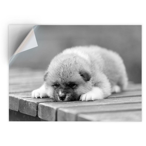Adesivo vinile bw - bw,
