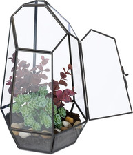 Terrario Piante, Mini Serra in