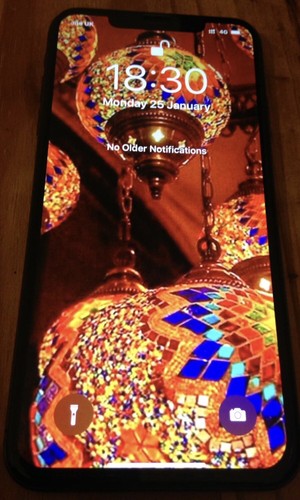 Iphone max 256 sbloccato - xs,