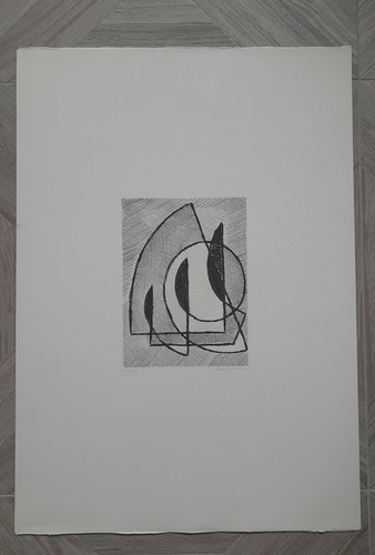 Mario radice litografia - radice,