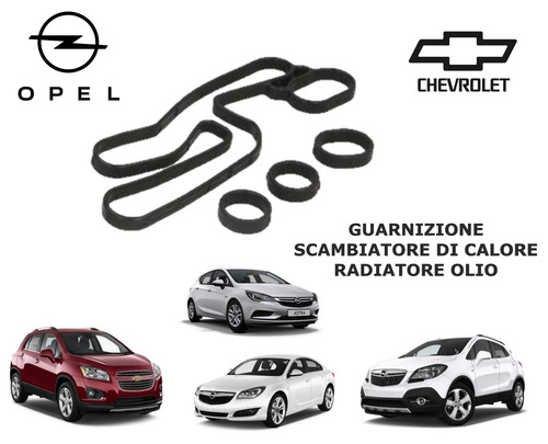Kit guarnizioni scambiatore - kit,