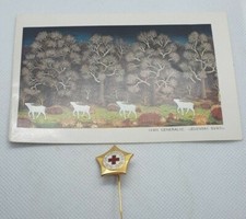 Croazia Croce Rossa -